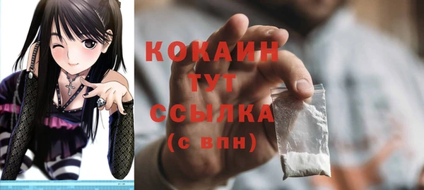 гидра Бронницы