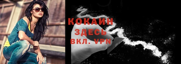 гидра Бронницы