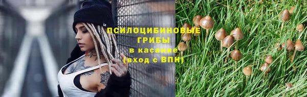 метадон Бородино