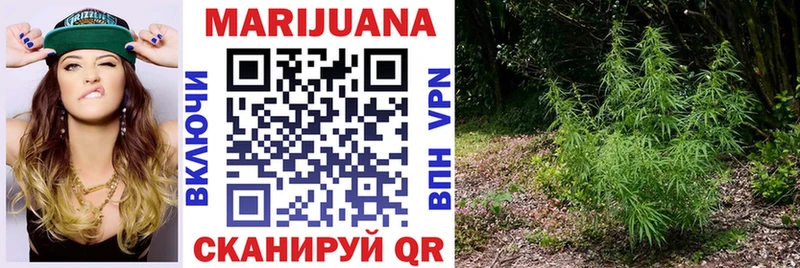 Конопля план  Салават 
